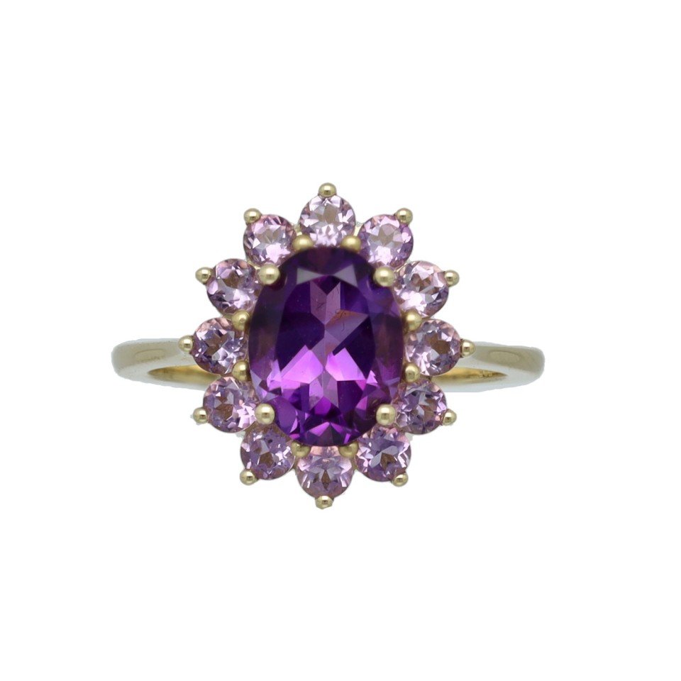 14 Krt Geelgouden ring met Amethist