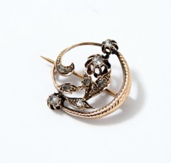 14 krt Art nouveau broche Roosgeslepen Diamant