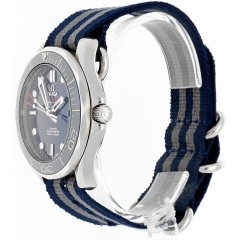 Omega Seamaster Professional 300m Co-Axial