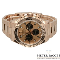 Rolex Cosmograph Daytona Everose Gold Ref.116505 (GERESERVEERD)