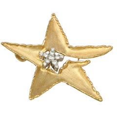 14 krt gouden Broche 