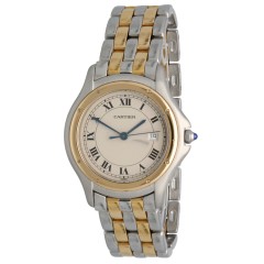 Cartier Panthere Cougar Goud/Staal