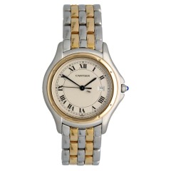 Cartier Panthere Cougar Goud/Staal