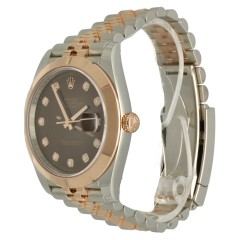 Rolex Datejust 41 Ref.126301 Everose/Choco 