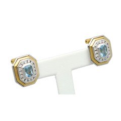 18 Krt Oorbellen met Aquamarijn - Briljant