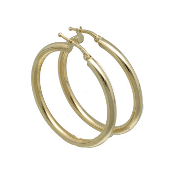 Geelgouden Oorbellen