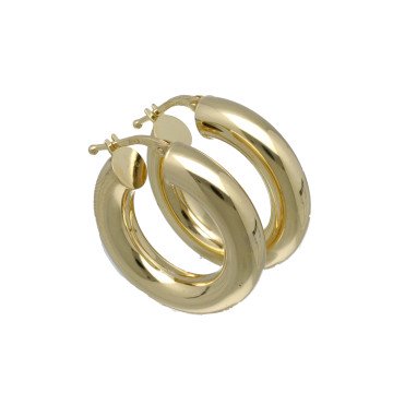 Geelgouden Oorbellen