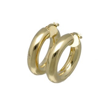 Geelgouden Oorbellen