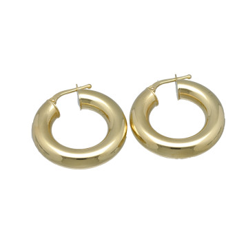 Geelgouden Oorbellen